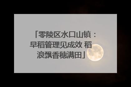 零陵区水口山镇：早稻管理见成效 稻浪飘香穗满田