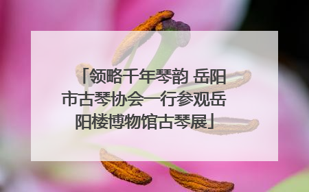 领略千年琴韵 岳阳市古琴协会一行参观岳阳楼博物馆古琴展