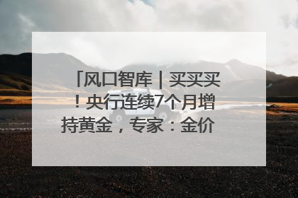 风口智库｜买买买！央行连续7个月增持黄金，专家：金价或仍易涨难跌