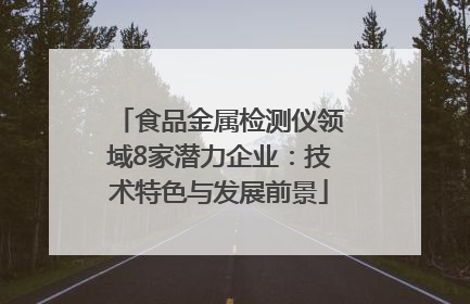 食品金属检测仪领域8家潜力企业：技术特色与发展前景