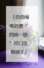 首票闽粤港澳“四地一锁”出口货物通关