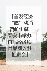 首发经济“燃”动消费新引擎 泰安市举办首店经济项目品牌入驻推进会