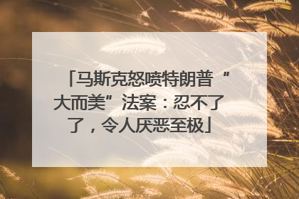 马斯克怒喷特朗普“大而美”法案：忍不了了，令人厌恶至极