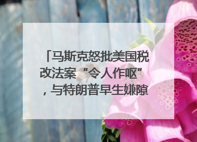 马斯克怒批美国税改法案“令人作呕”，与特朗普早生嫌隙？｜国际识局