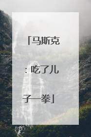 马斯克：吃了儿子一拳