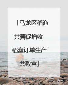 马龙区稻渔共舞促增收 稻渔订单生产共致富