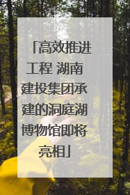 高效推进工程 湖南建投集团承建的洞庭湖博物馆即将亮相