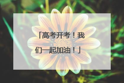 高考开考！我们一起加油！