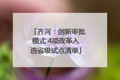 齐河：创新审批模式 4项改革入选省级试点清单