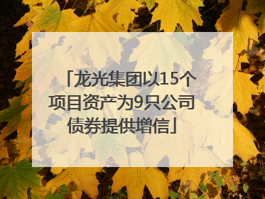 龙光集团以15个项目资产为9只公司债券提供增信