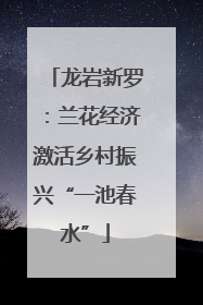 龙岩新罗：兰花经济激活乡村振兴“一池春水”
