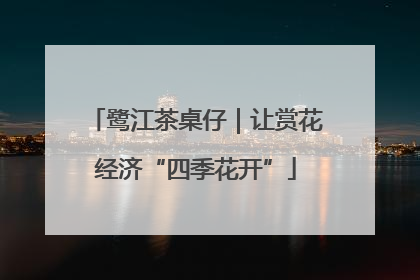 鹭江茶桌仔｜让赏花经济“四季花开”