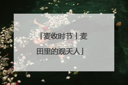 麦收时节丨麦田里的观天人