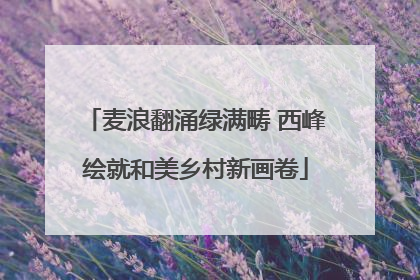 麦浪翻涌绿满畴 西峰绘就和美乡村新画卷