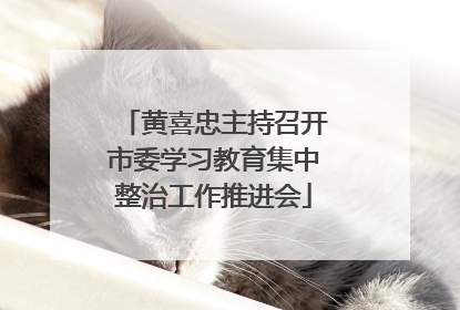 黄喜忠主持召开市委学习教育集中整治工作推进会