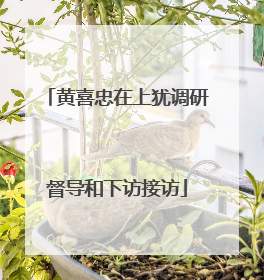 黄喜忠在上犹调研督导和下访接访