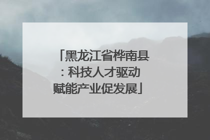 黑龙江省桦南县：科技人才驱动 赋能产业促发展
