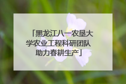 黑龙江八一农垦大学农业工程科研团队助力春耕生产