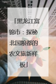 黑龙江富锦市：探秘北国粮都的农文旅新样板