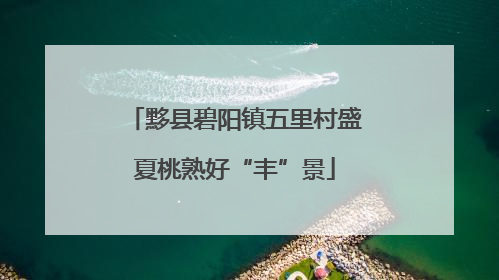 黟县碧阳镇五里村盛夏桃熟好“丰”景