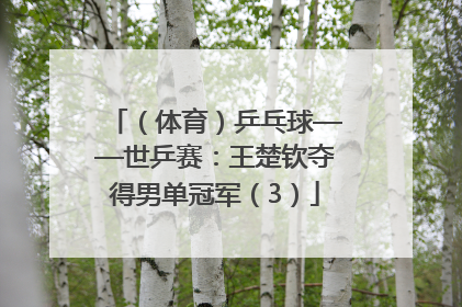（体育）乒乓球——世乒赛：王楚钦夺得男单冠军（3）
