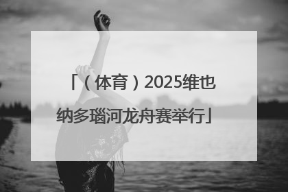 （体育）2025维也纳多瑙河龙舟赛举行