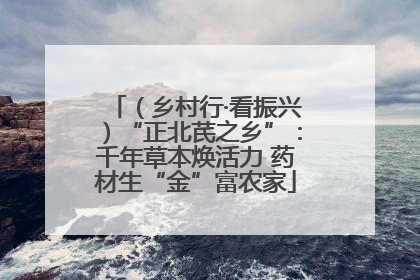 （乡村行·看振兴）“正北芪之乡”：千年草本焕活力 药材生“金”富农家