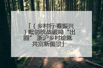 （乡村行·看振兴）毗邻统战破局“出圈” 浙沪乡村绘就共富新图景