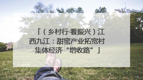 （乡村行·看振兴）江西九江：甜蜜产业拓宽村集体经济“增收路”
