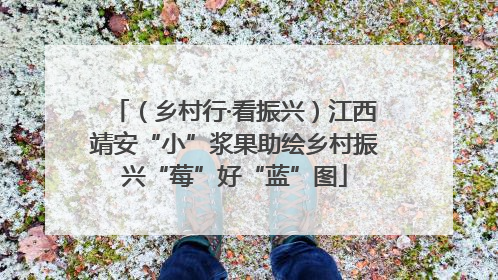 （乡村行·看振兴）江西靖安“小”浆果助绘乡村振兴“莓”好“蓝”图