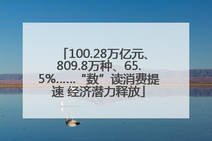100.28万亿元、809.8万种、65.5%……“数”读消费提速 经济潜力释放