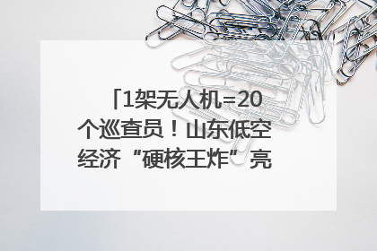 1架无人机=20个巡查员！山东低空经济“硬核王炸”亮相青岛，下一个万亿赛道藏在这里