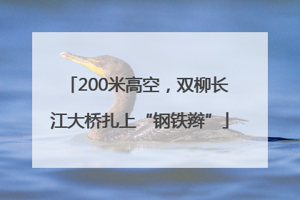 200米高空，双柳长江大桥扎上“钢铁辫”