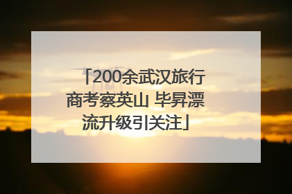 200余武汉旅行商考察英山 毕昇漂流升级引关注