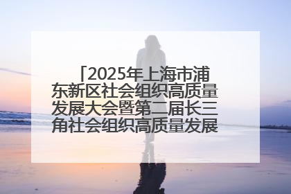 2025年上海市浦东新区社会组织高质量发展大会暨第二届长三角社会组织高质量发展峰会成功举办