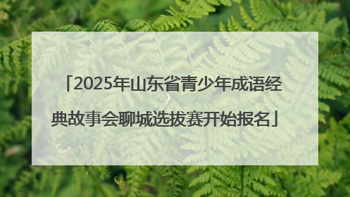 2025年山东省青少年成语经典故事会聊城选拔赛开始报名
