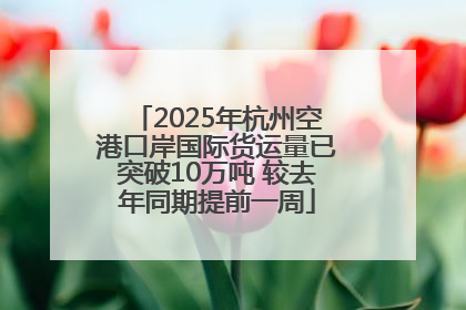 2025年杭州空港口岸国际货运量已突破10万吨 较去年同期提前一周