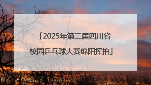 2025年第二届四川省校园乒乓球大赛绵阳挥拍