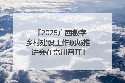 2025广西数字乡村建设工作现场推进会在富川召开