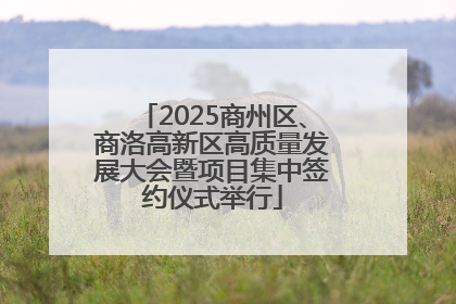 2025商州区、商洛高新区高质量发展大会暨项目集中签约仪式举行