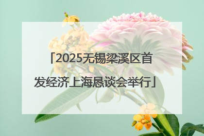 2025无锡梁溪区首发经济上海恳谈会举行