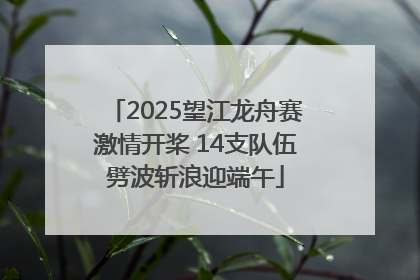 2025望江龙舟赛激情开桨 14支队伍劈波斩浪迎端午