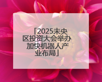 2025未央区投资大会举办 加快机器人产业布局