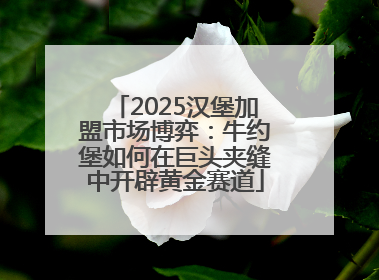 2025汉堡加盟市场博弈：牛约堡如何在巨头夹缝中开辟黄金赛道