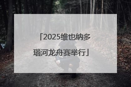 2025维也纳多瑙河龙舟赛举行