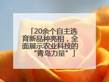 20余个自主选育新品种亮相，全面展示农业科技的“青岛力量”