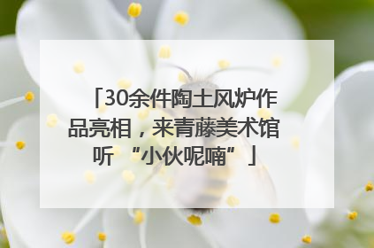 30余件陶土风炉作品亮相，来青藤美术馆听 “小伙呢喃”