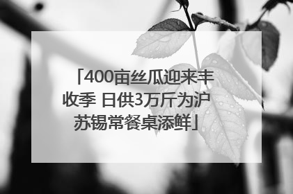 400亩丝瓜迎来丰收季 日供3万斤为沪苏锡常餐桌添鲜