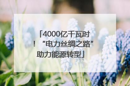 4000亿千瓦时！“电力丝绸之路”助力能源转型