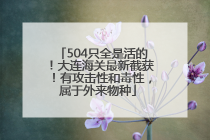 504只全是活的！大连海关最新截获！有攻击性和毒性，属于外来物种